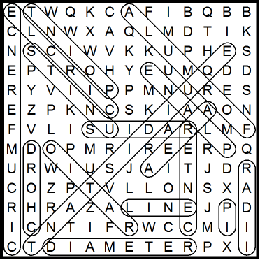 icircle_wordsearch2013_sol.png